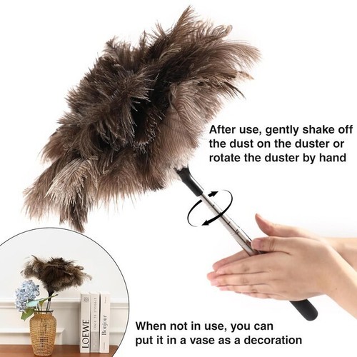 Ostrich feather duster - ostrich,