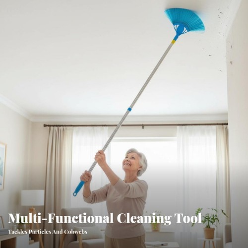 Extendable cobweb duster - extendable,