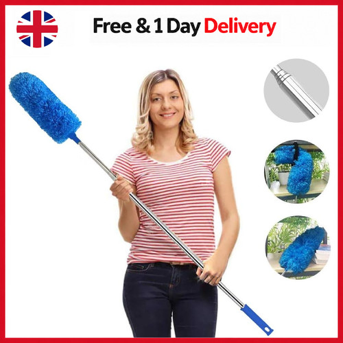 Feather duster - feather, duster,