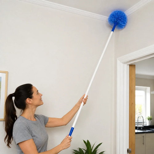 Extendable dome head cobweb - extendable,