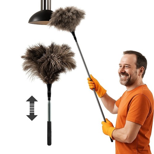 Long reach ostrich - long, feather